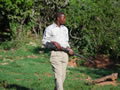 Ranger On The Lookout, Shamwari Game Reserve, &copy;Keith Butler